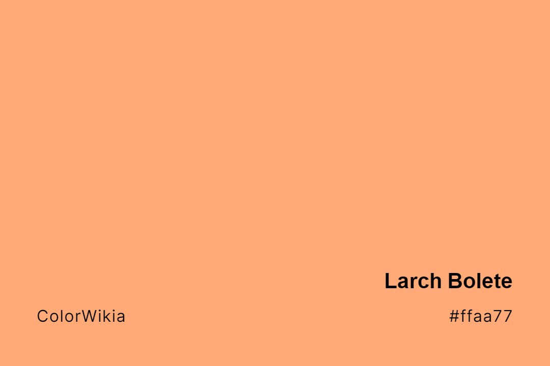 Larch Bolete Color – #ffaa77: Codes and Complete Breakdown