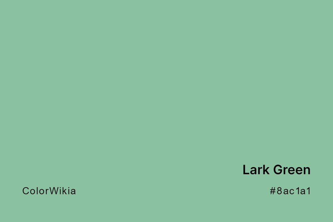 Lark Green Color – #8ac1a1: Codes and Complete Breakdown