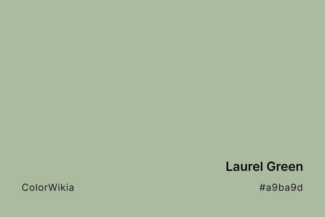 laurel green color a9ba9d
