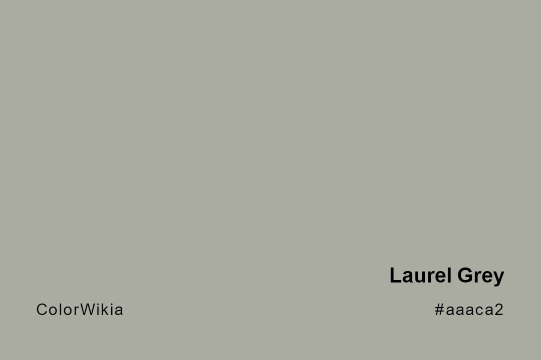 laurel grey color aaaca2