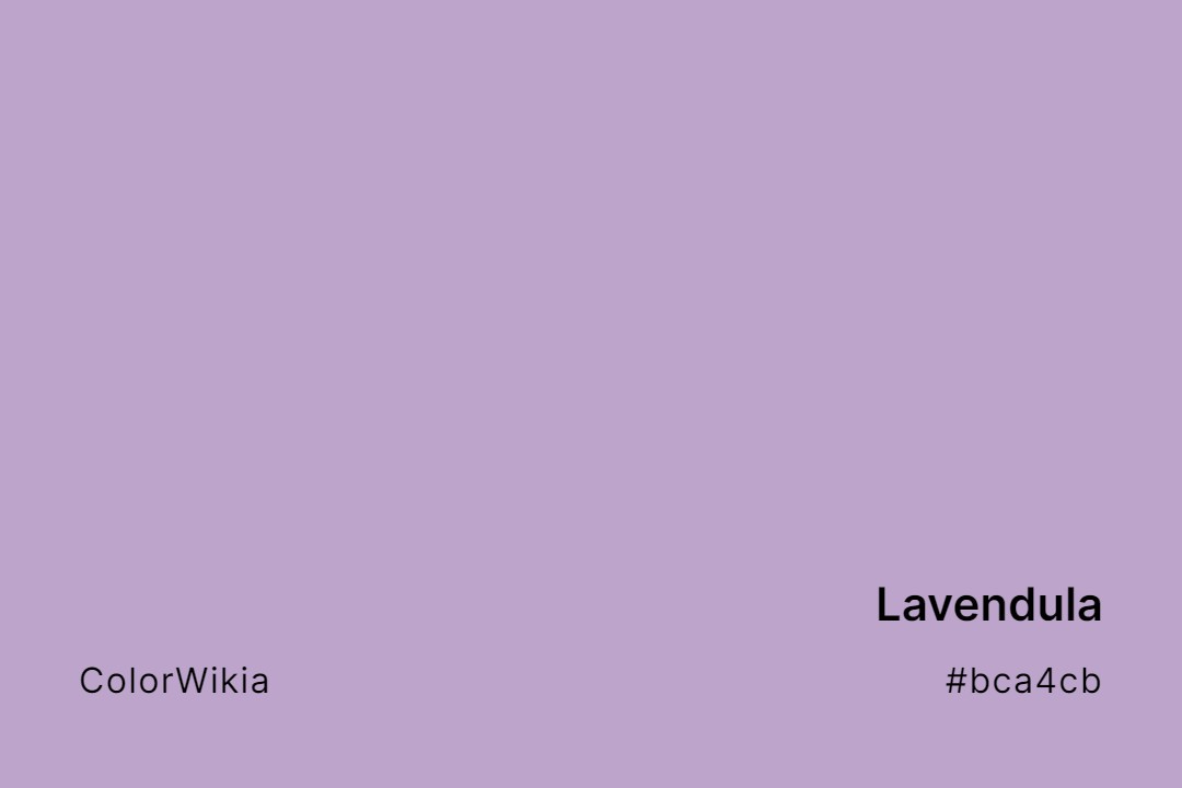 Lavendula Color – #bca4cb: Codes and Complete Breakdown