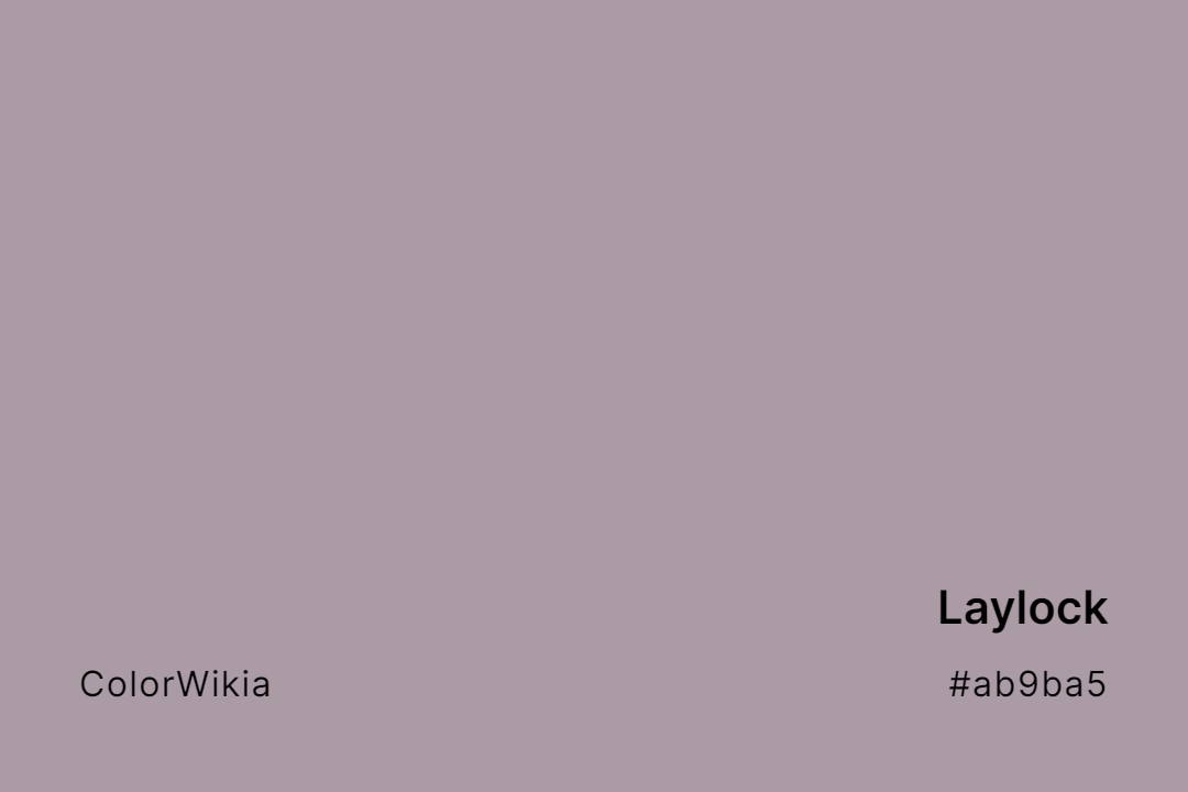 Laylock Color – #ab9ba5: Codes and Complete Breakdown