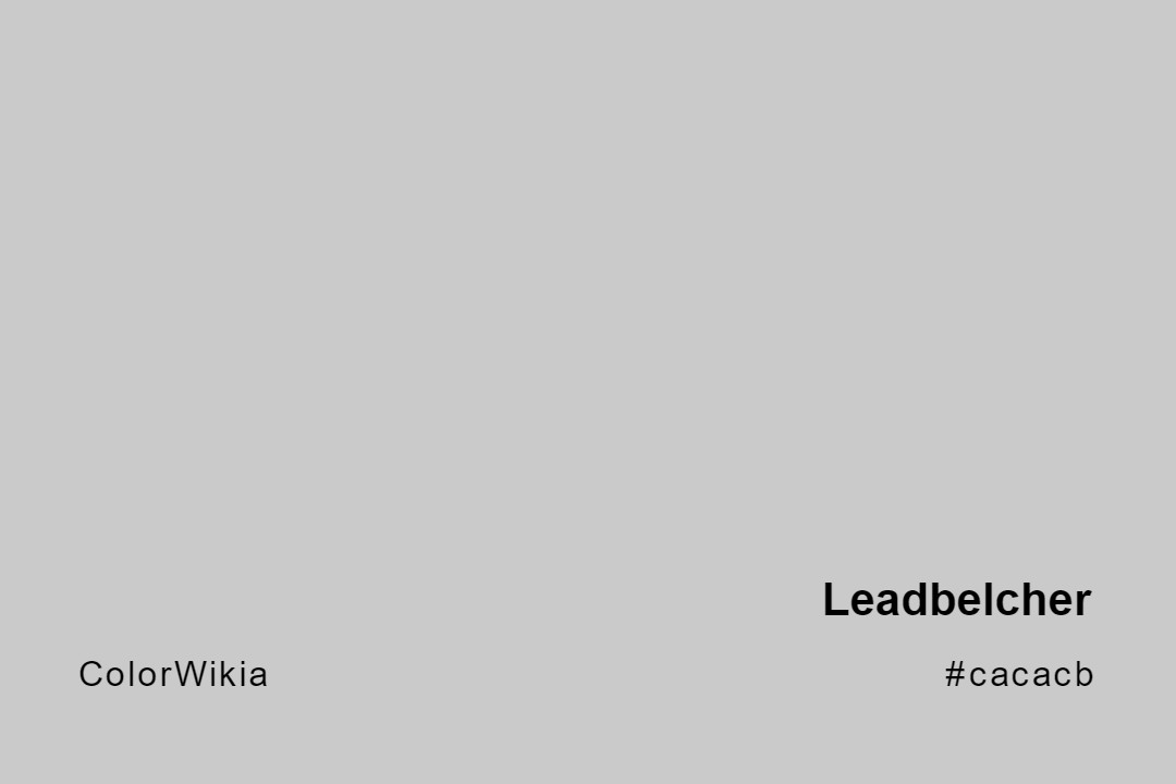 Leadbelcher Color – #cacacb: Codes and Complete Breakdown