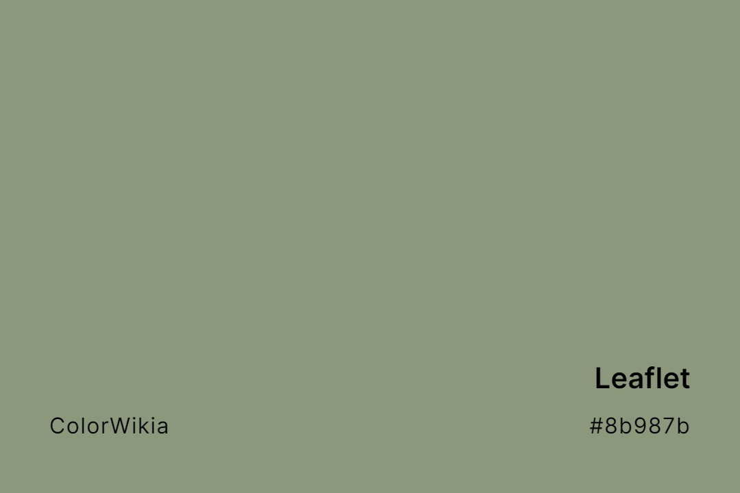 Leaflet Color – #8b987b: Codes and Complete Breakdown