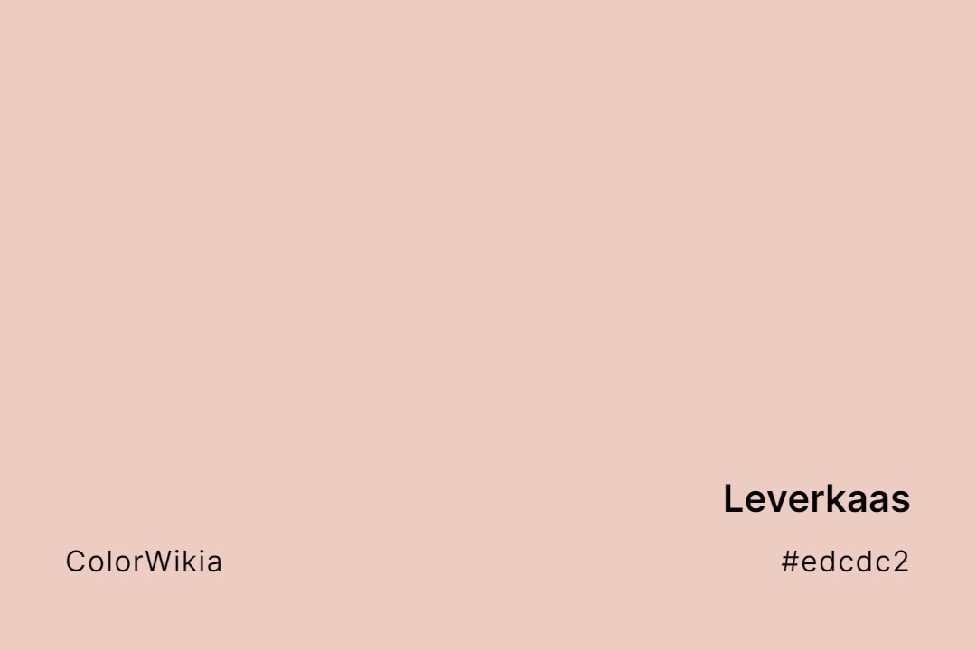 Leverkaas Color – #edcdc2: Codes and Complete Breakdown