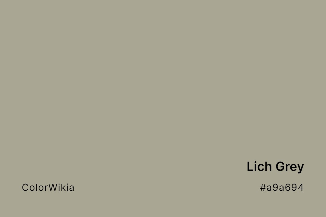 Lich Grey Color – #a9a694: Codes and Complete Breakdown