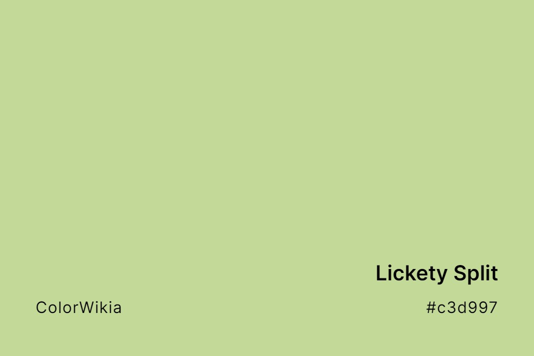 lickety split color c3d997