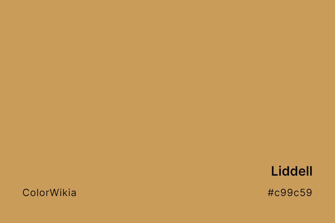 Liddell Color – #c99c59: Codes and Complete Breakdown