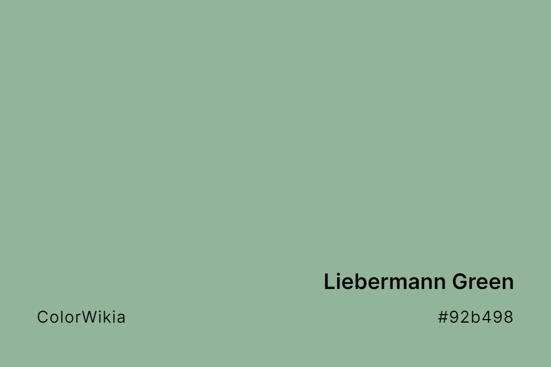 Liebermann Green Color – #92b498: Codes and Complete Breakdown