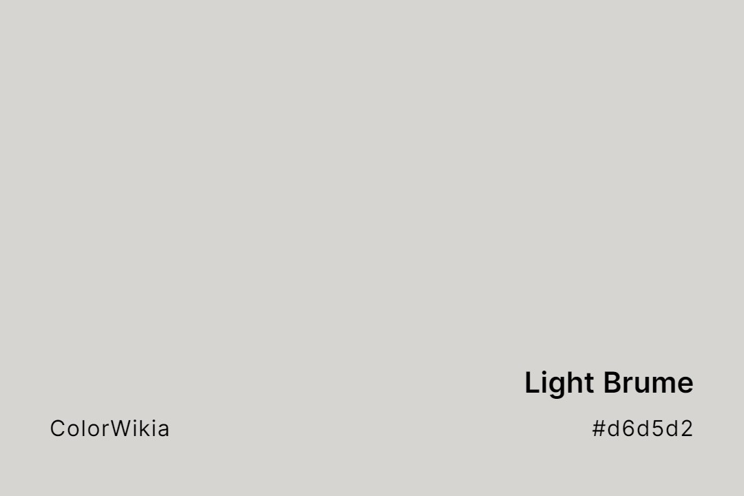 Light Brume Color – #d6d5d2: Codes and Complete Breakdown