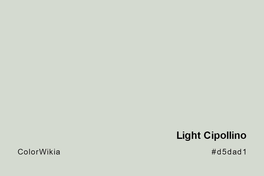 Light Cipollino Color – #d5dad1: Codes and Complete Breakdown