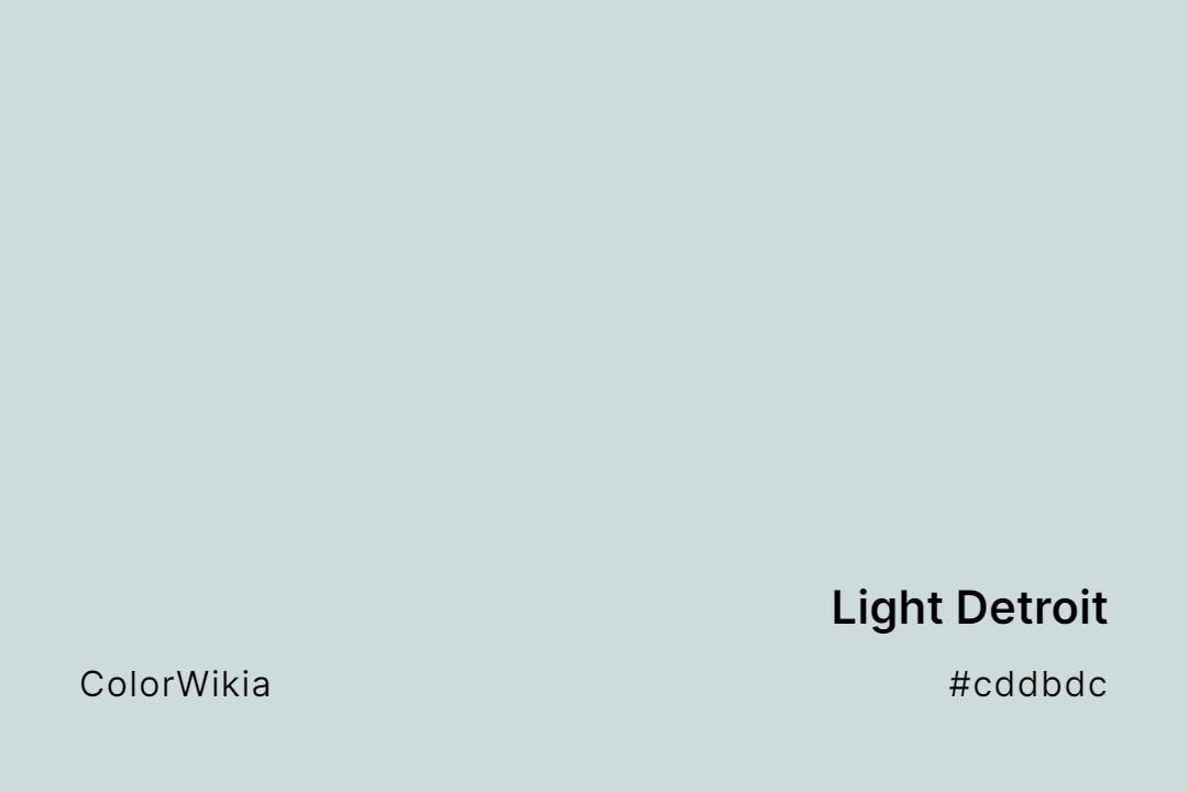 Light Detroit Color – #cddbdc: Codes and Complete Breakdown