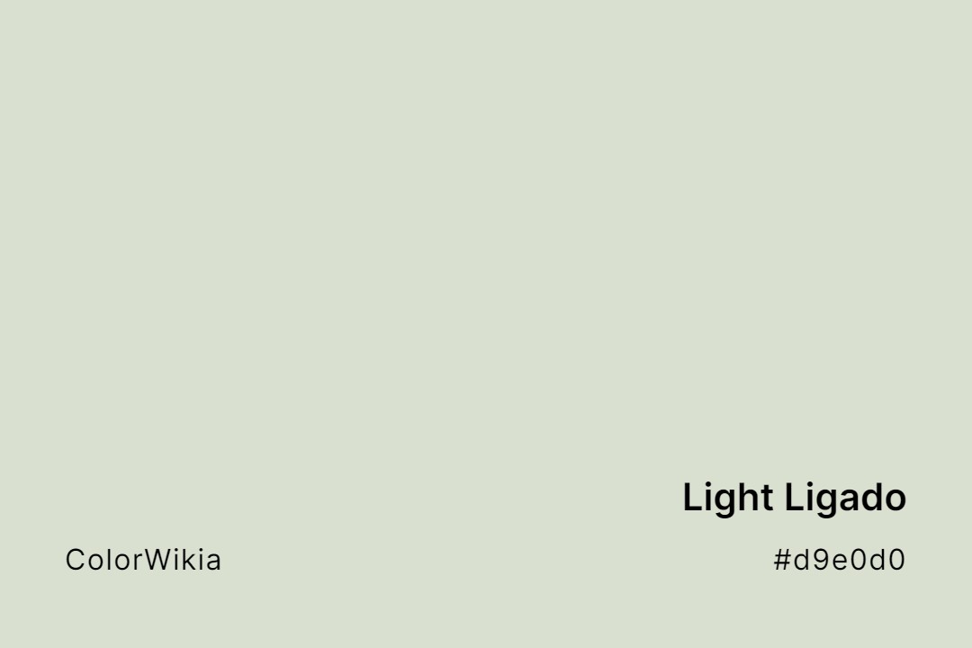 Light Ligado Color – #d9e0d0: Codes and Complete Breakdown