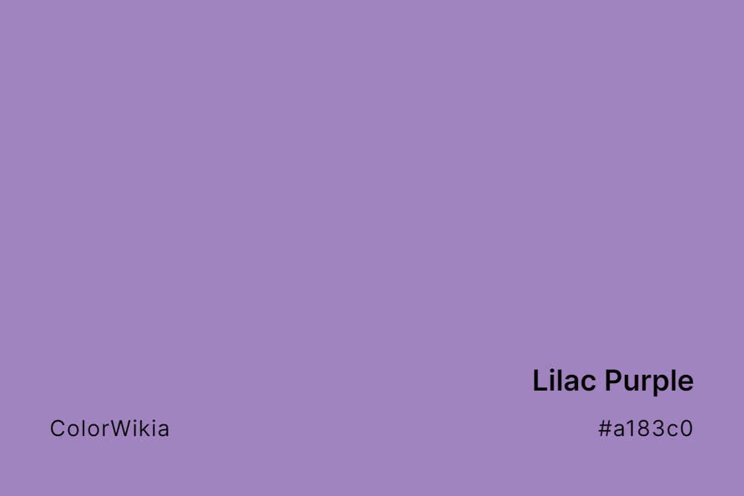 lilac purple color a183c0