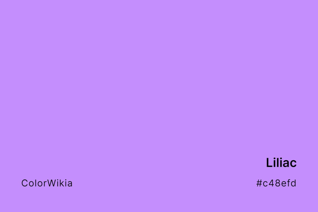 Liliac Color – #c48efd: Codes and Complete Breakdown