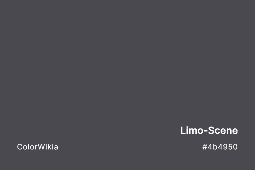 Limo-Scene Color – #4b4950: Codes and Complete Breakdown