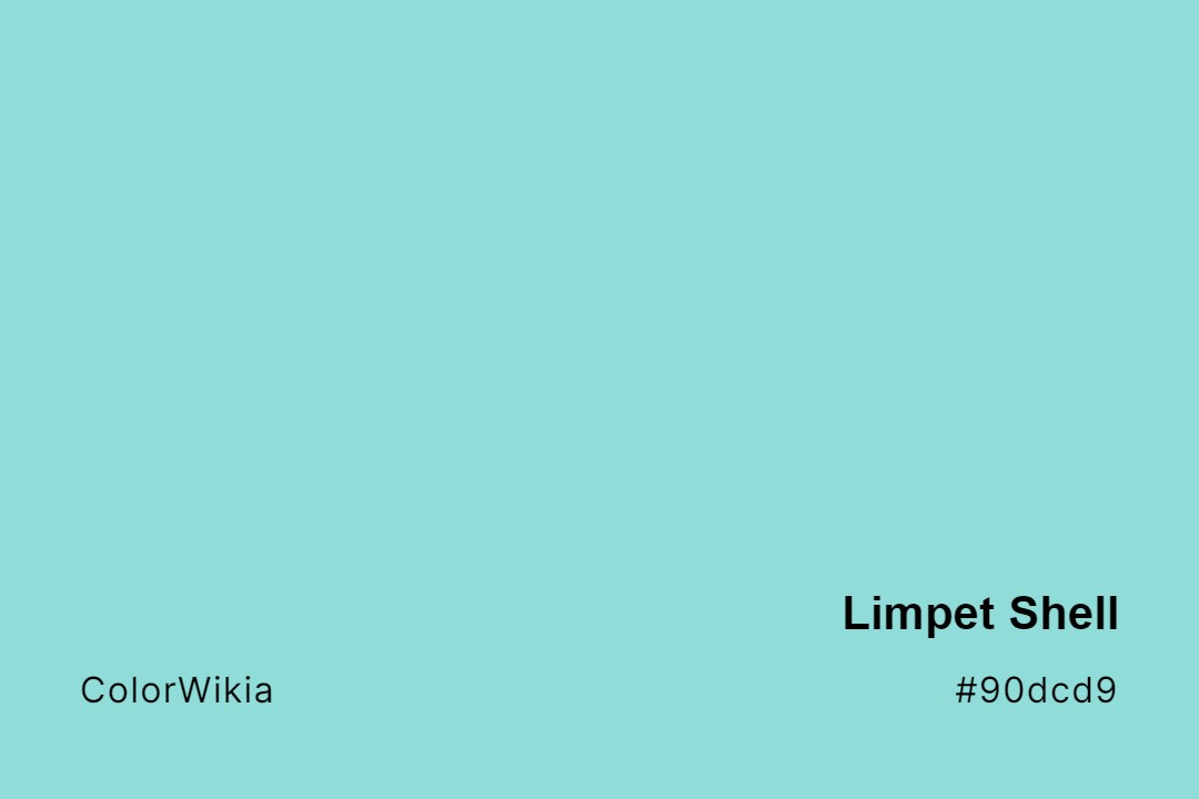 limpet shell color 90dcd9
