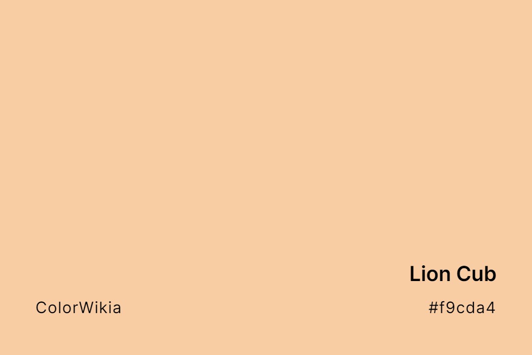 lion cub color f9cda4
