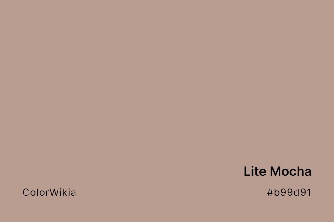 lite mocha color b99d91