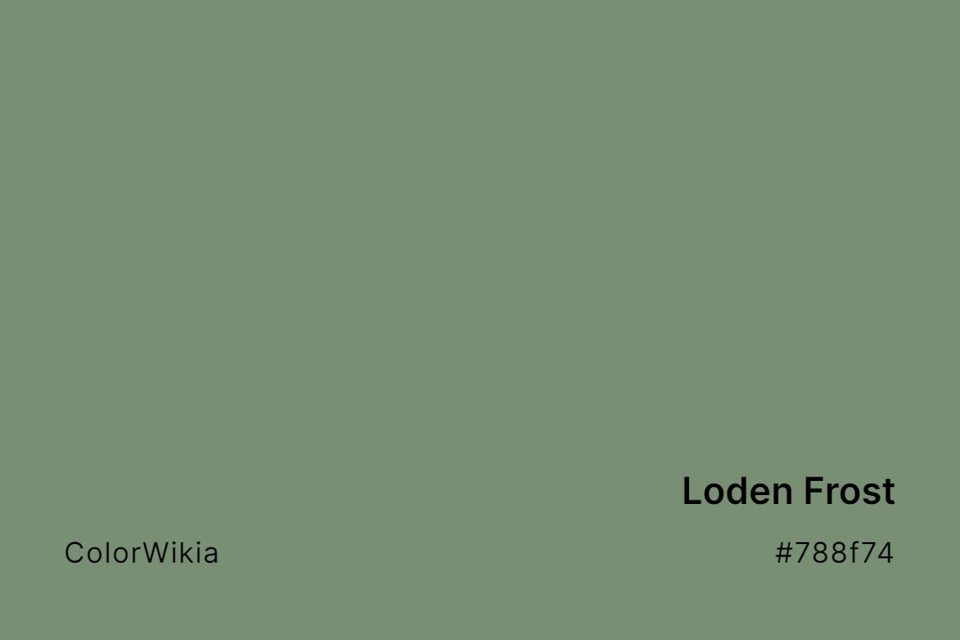 loden frost color 788f74