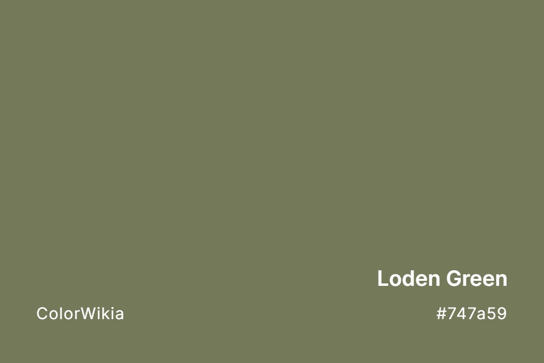 loden green color 747a59