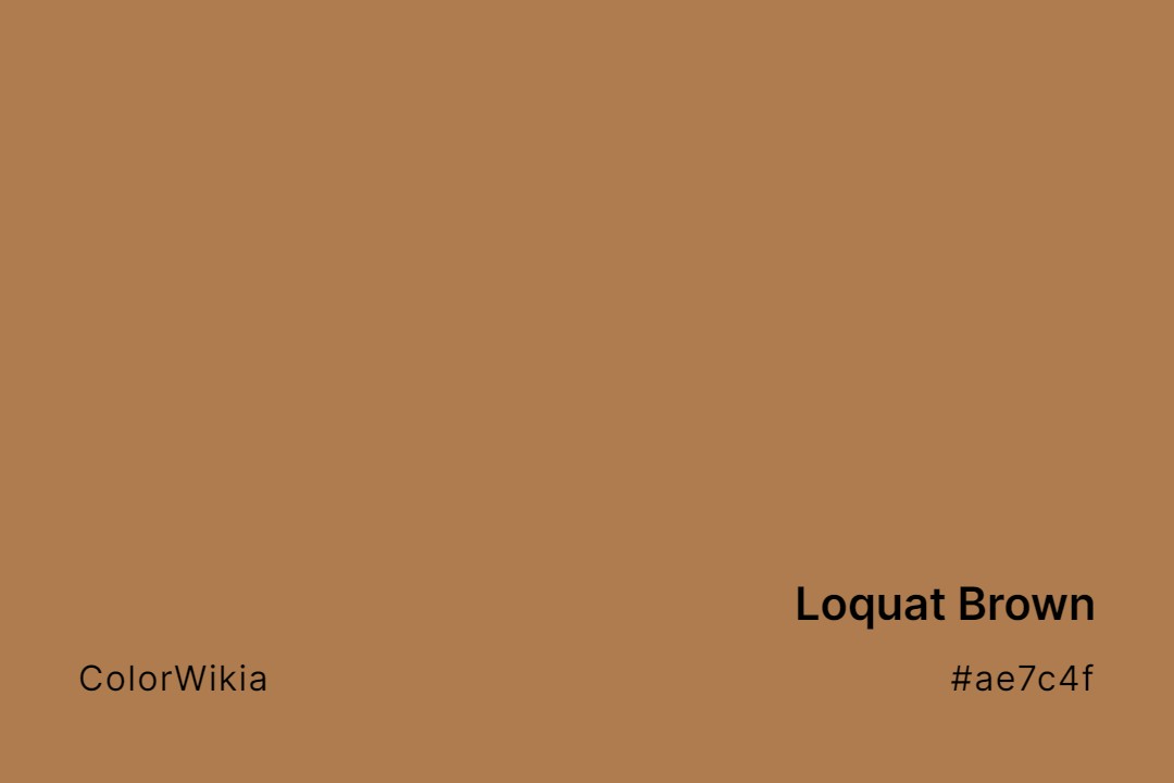 Loquat Brown Color – #ae7c4f: Codes and Complete Breakdown
