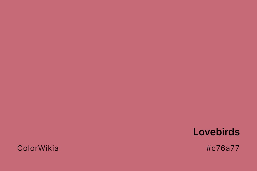 Lovebirds Color – #c76a77: Codes and Complete Breakdown