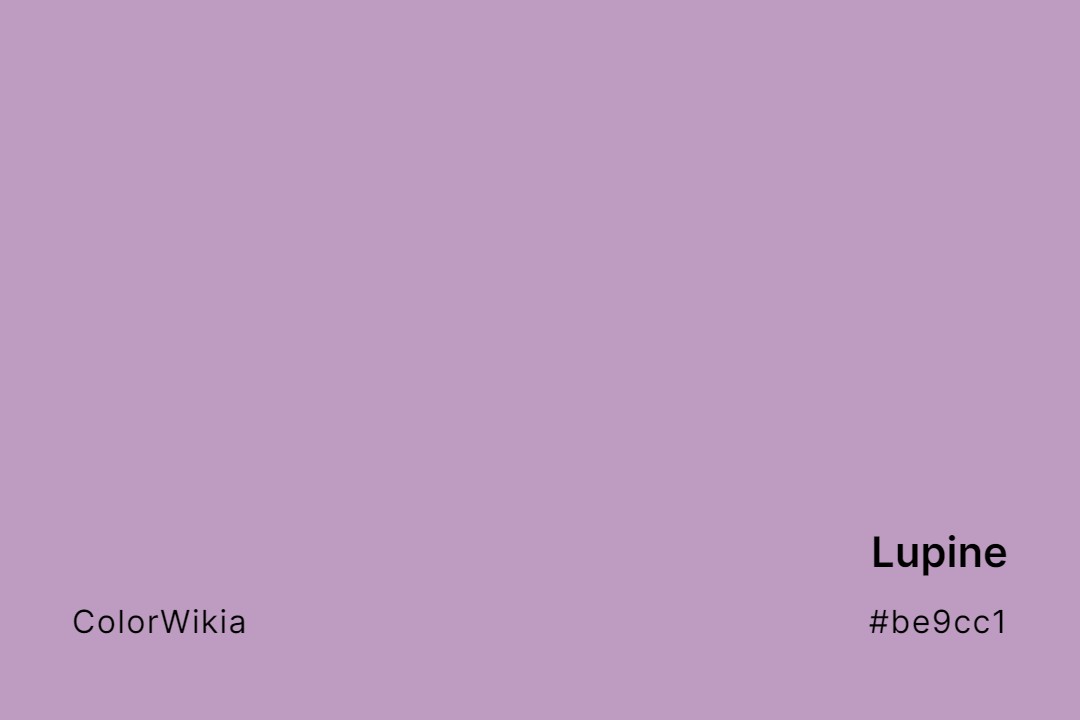 lupine color be9cc1
