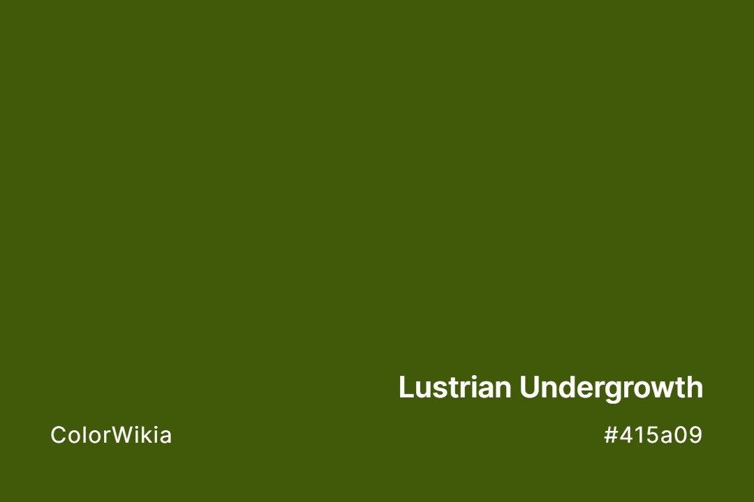 Lustrian Undergrowth Color – #415a09: Codes and Complete Breakdown
