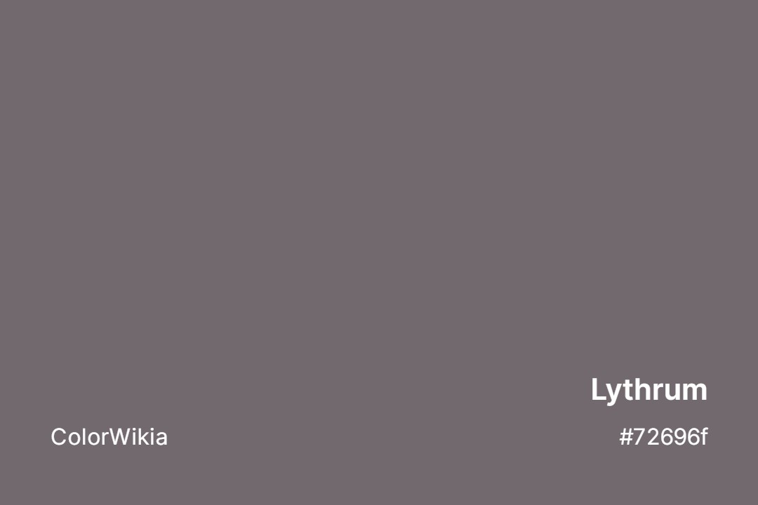 Lythrum Color – #72696f: Codes and Complete Breakdown