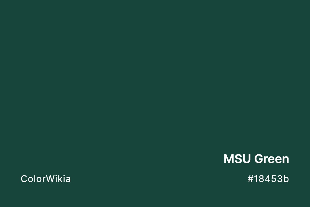 MSU Green Color – #18453b: Codes and Complete Breakdown