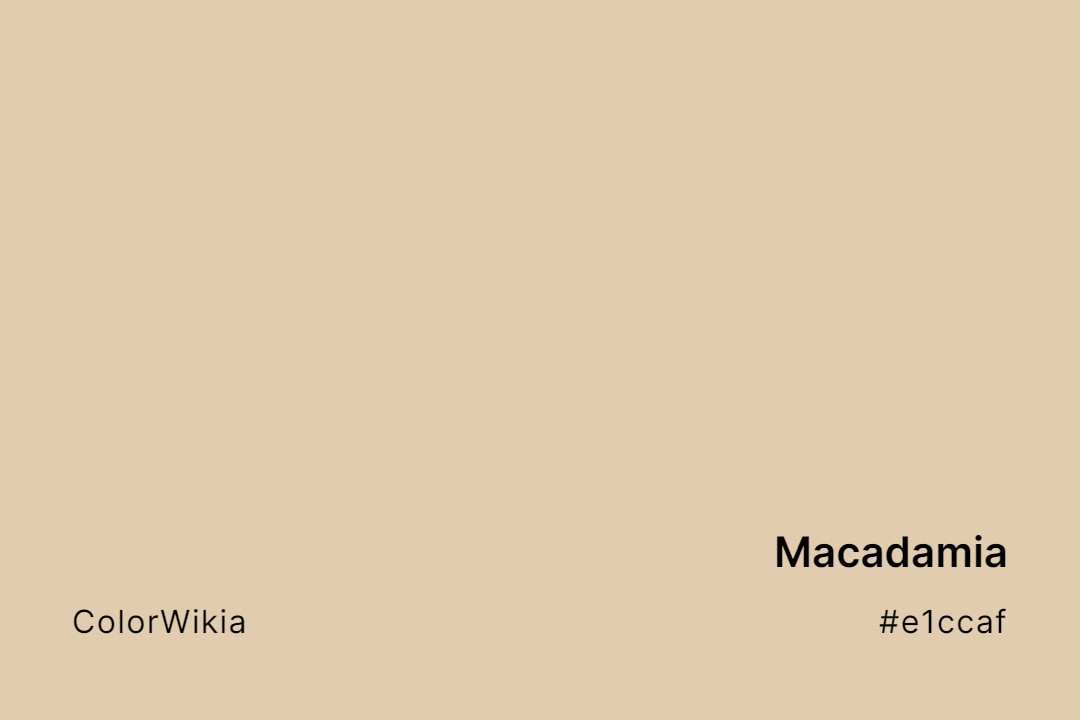 macadamia color e1ccaf