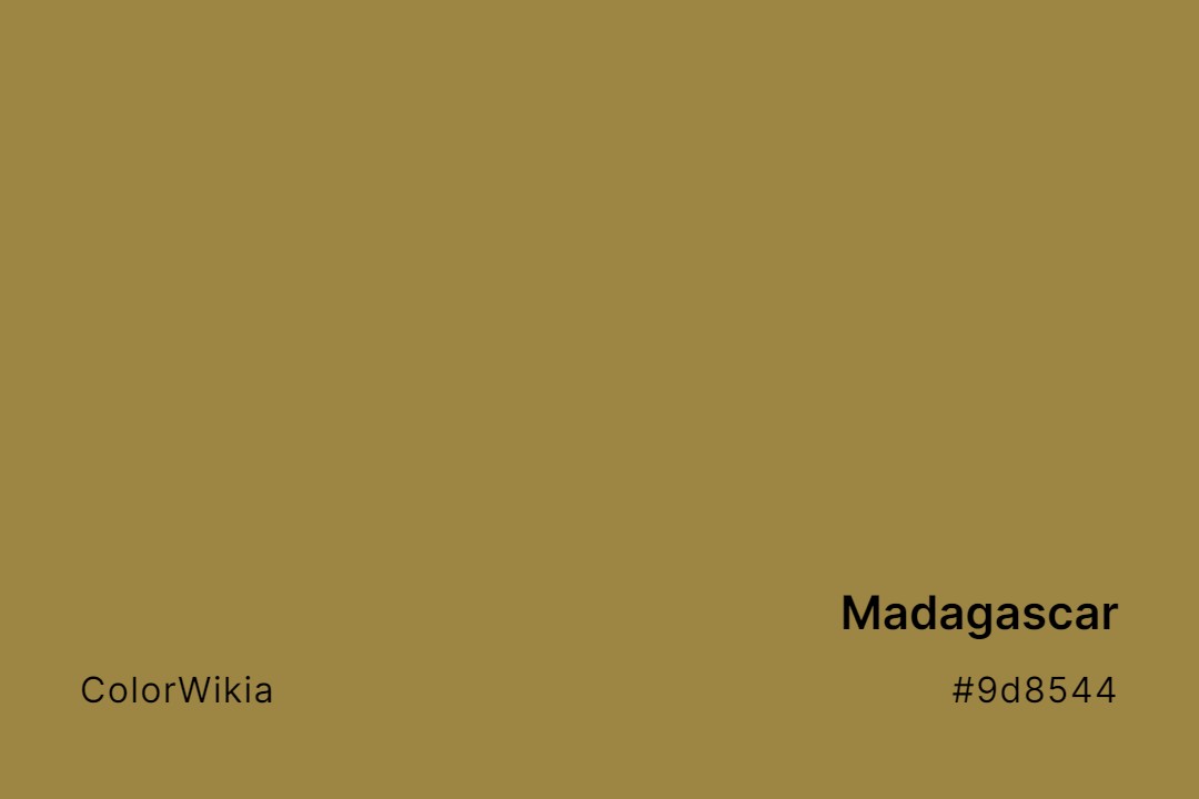 Madagascar Color – #9d8544: Codes and Complete Breakdown