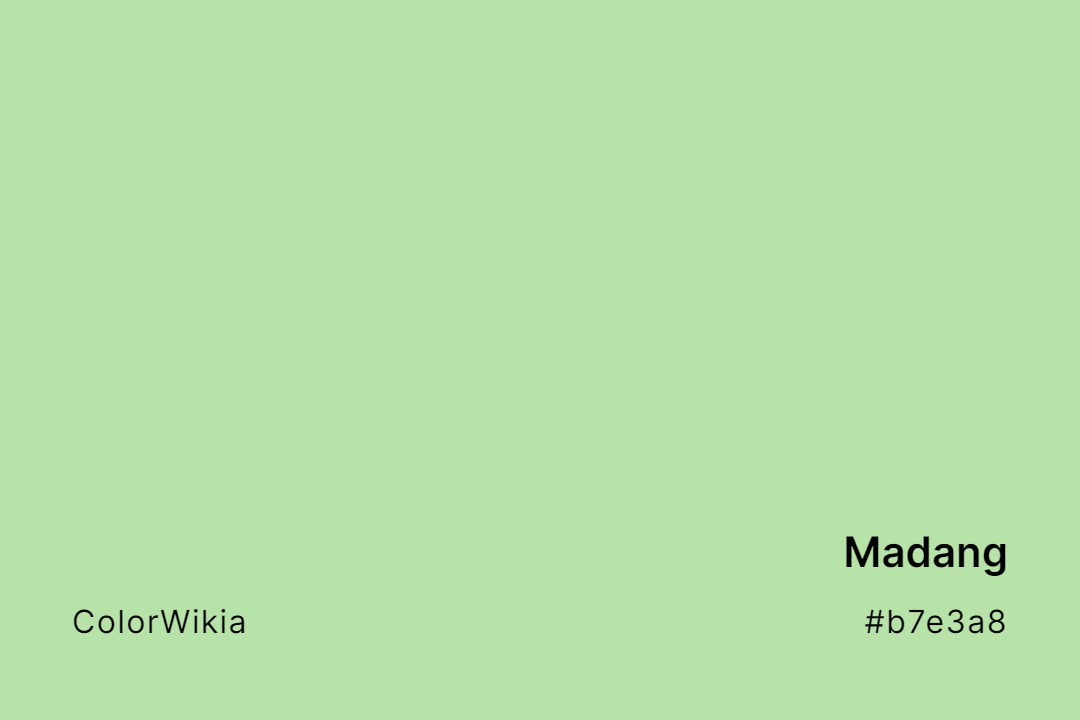 Madang Color – #b7e3a8: Codes and Complete Breakdown