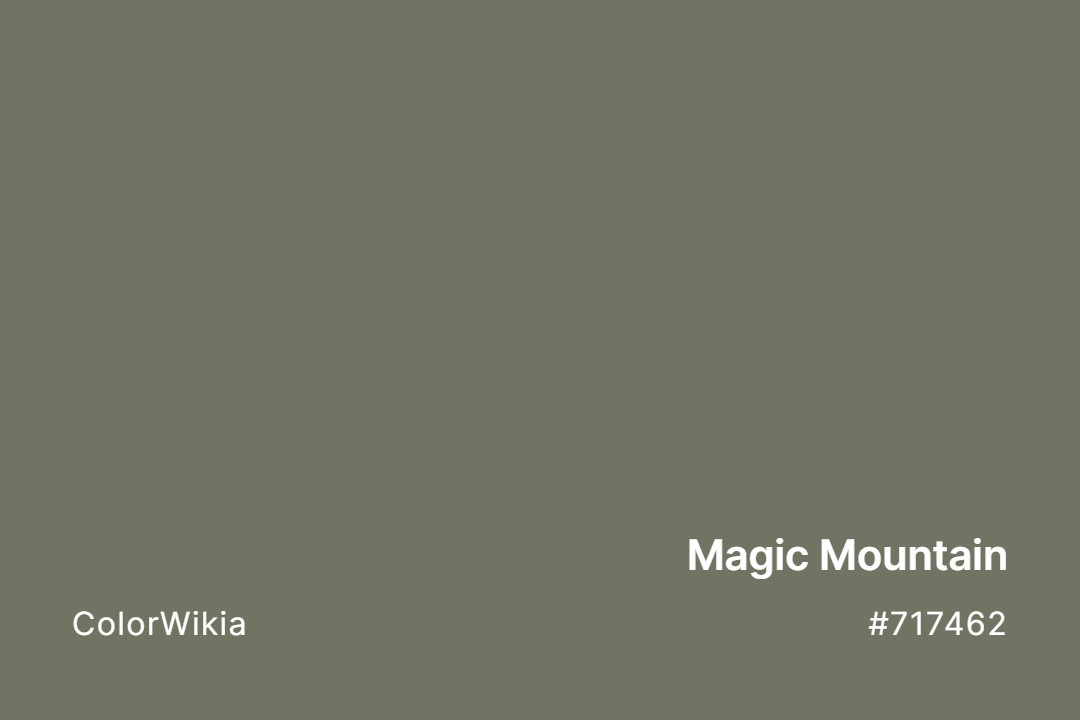 magic mountain color 717462