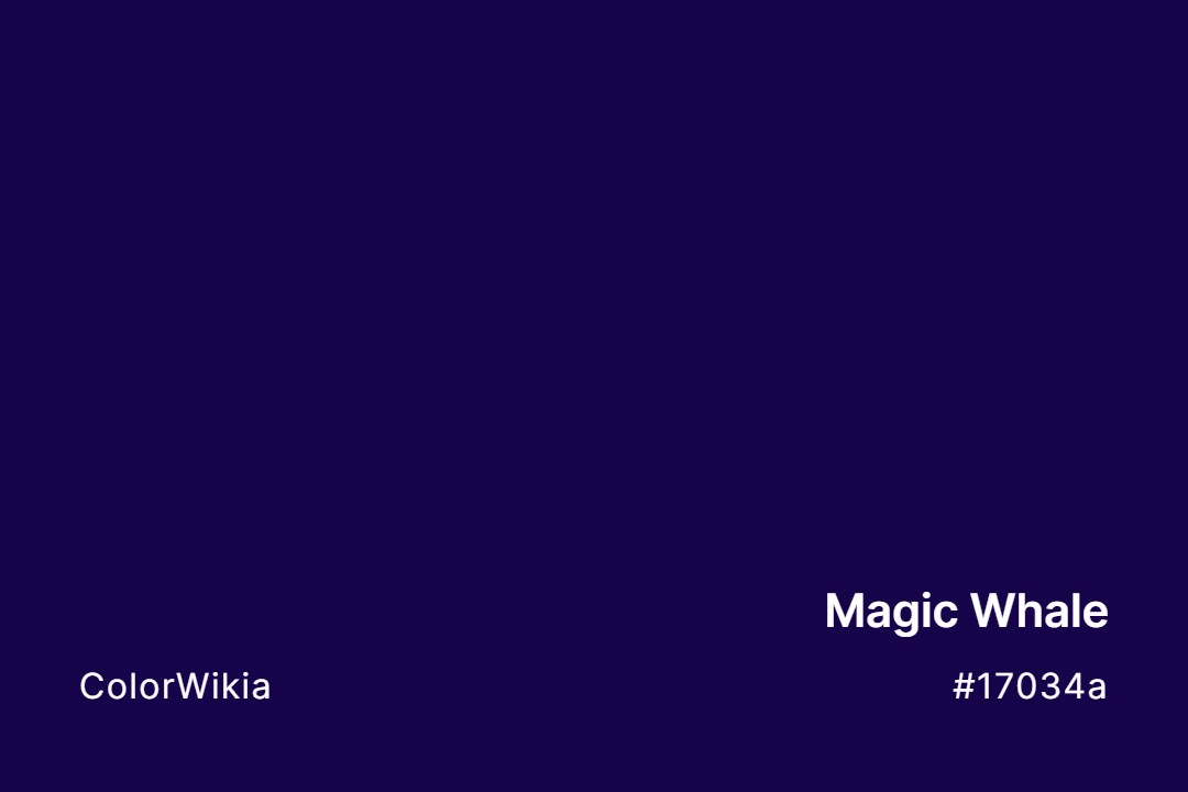 magic whale color 17034a