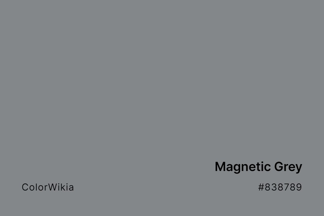 magnetic grey color 838789