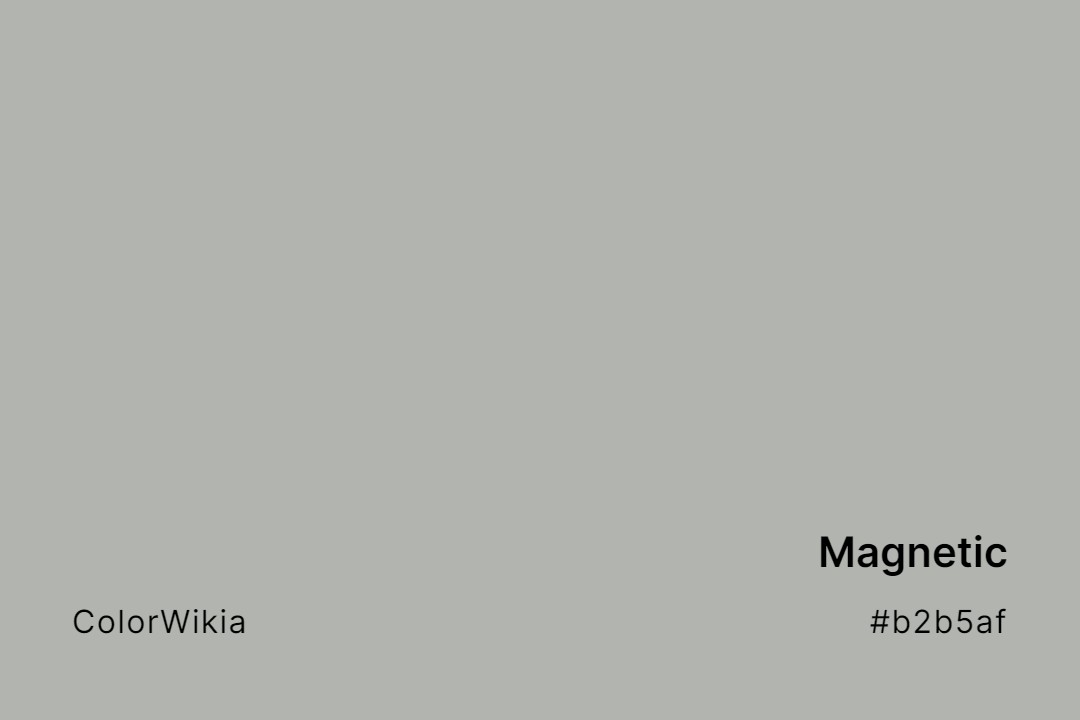 magnetic color b2b5af