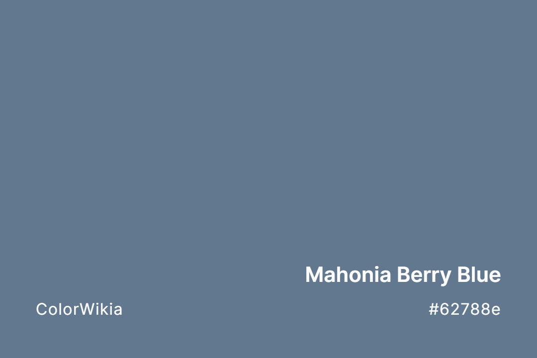 mahonia berry blue color 62788e