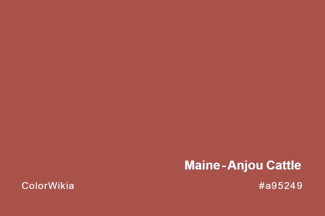 Maine-Anjou Cattle Color – #a95249: Codes and Complete Breakdown
