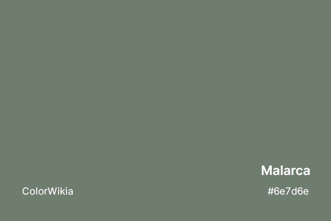 Malarca Color – #6e7d6e: Codes and Complete Breakdown