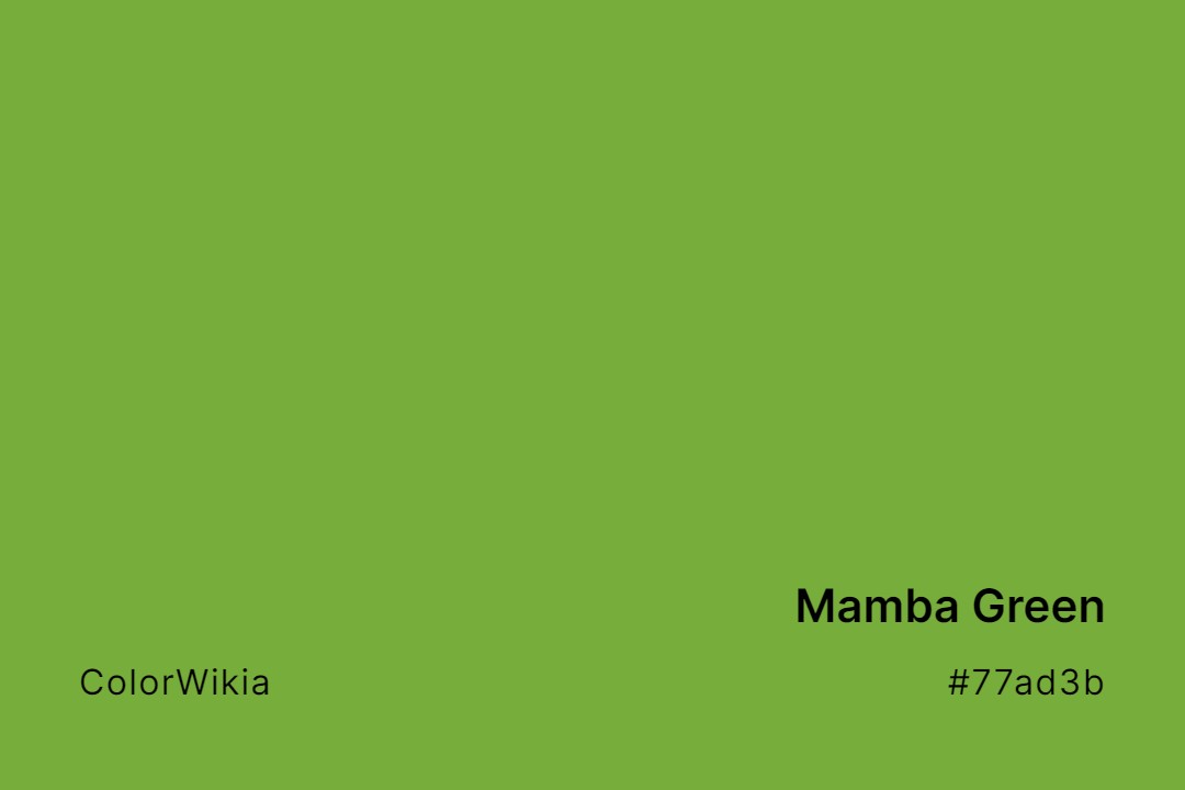 Mamba Green Color – #77ad3b: Codes and Complete Breakdown