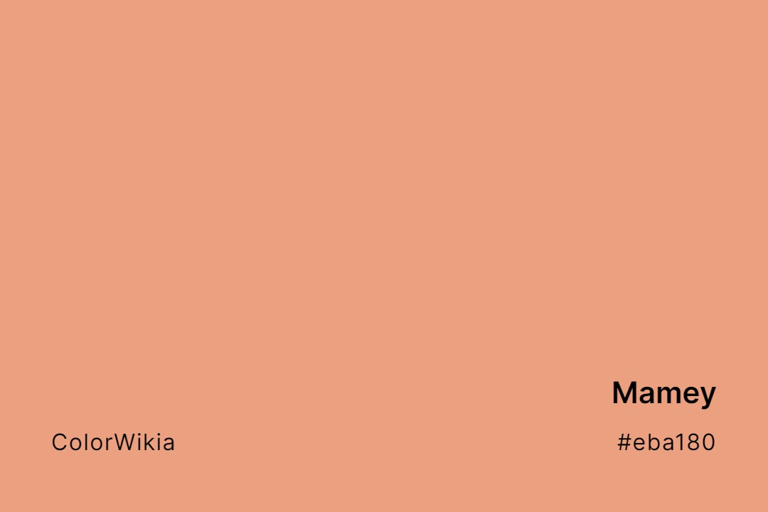 Mamey Color – #eba180: Codes and Complete Breakdown