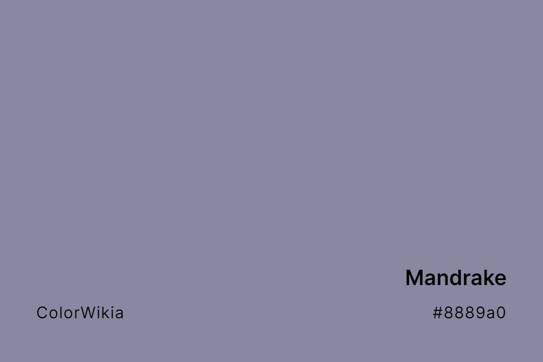 Mandrake Color – #8889a0: Codes and Complete Breakdown