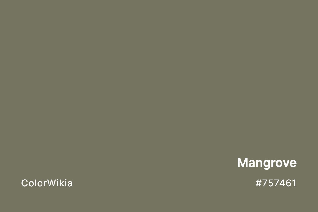 Mangrove Color – #757461: Codes and Complete Breakdown