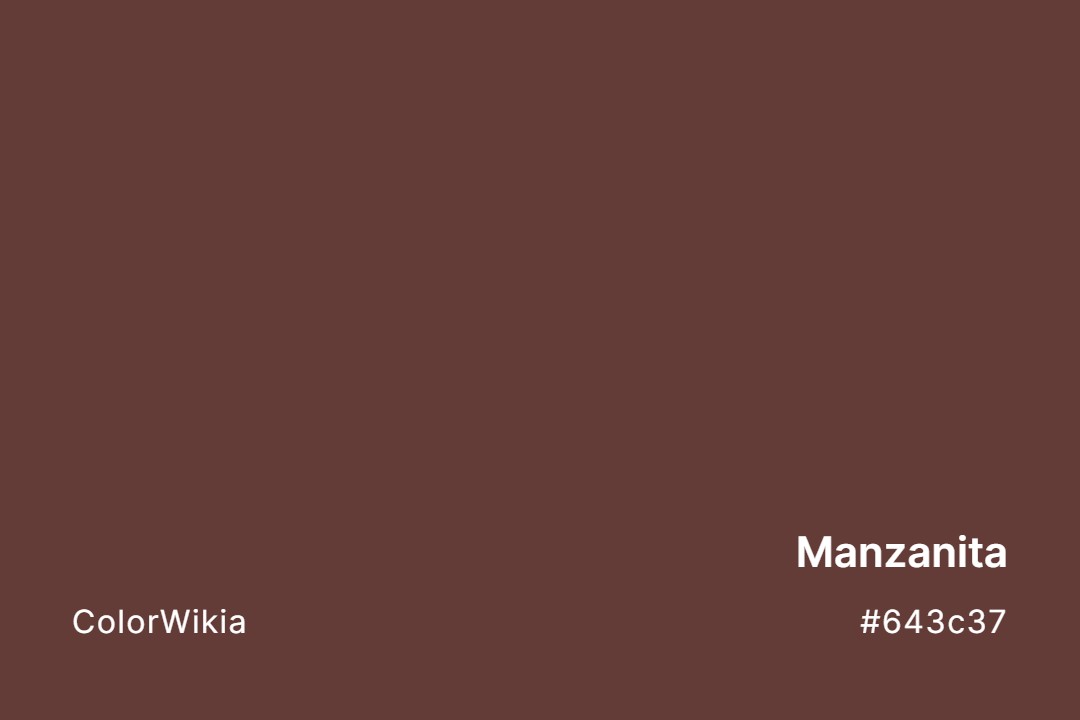 Manzanita Color – #643c37: Codes and Complete Breakdown