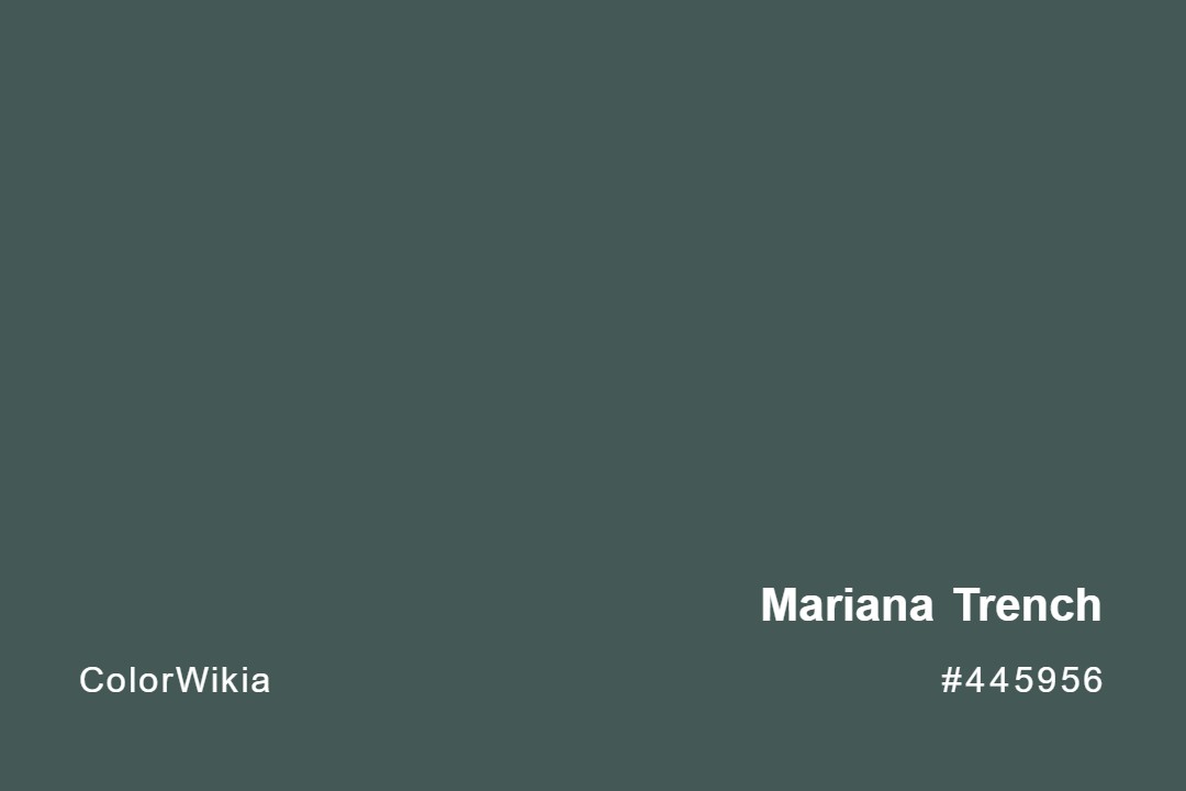 Mariana Trench Color – #445956: Codes and Complete Breakdown