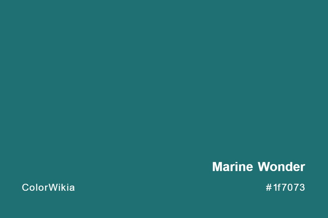 marine wonder color 1f7073