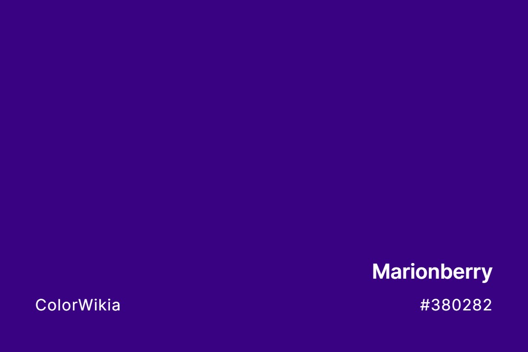 Marionberry Color – #380282: Codes and Complete Breakdown