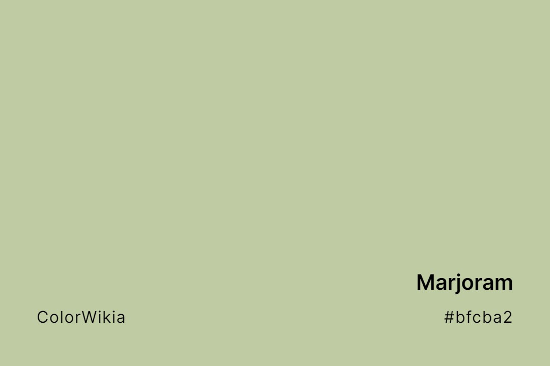 Marjoram Color – #bfcba2: Codes and Complete Breakdown